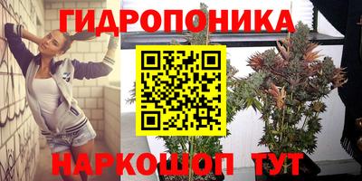 apvp Жуковский