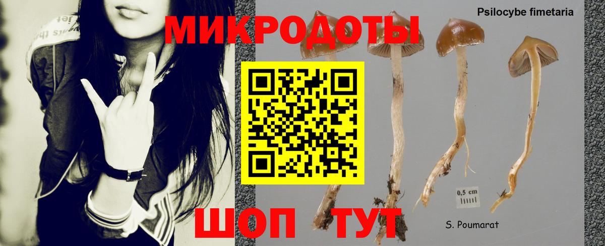 Псилоцибиновые грибы Psilocybine cubensis Лянтор